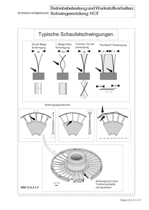 Band Turbomaschinen 3 Schwingungsanregungen und Schwingbeanspruchung im HCF-Bereich S.12